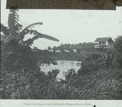 Prenten Adlib\P18953.jpg; P18953; ;